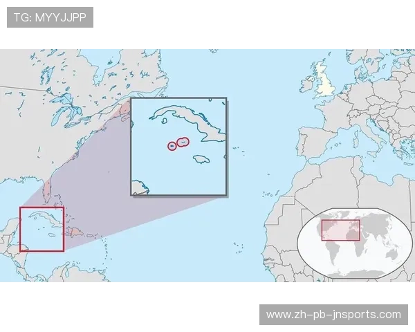 英超球队建制:英超俱乐部的组织结构和管理层