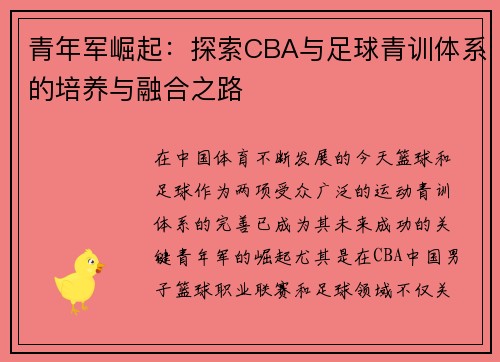 青年军崛起：探索CBA与足球青训体系的培养与融合之路